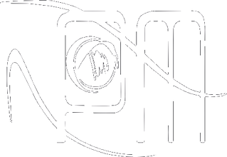 NPM